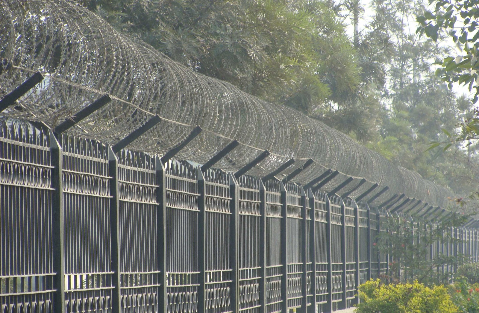 Concertina coil fencing